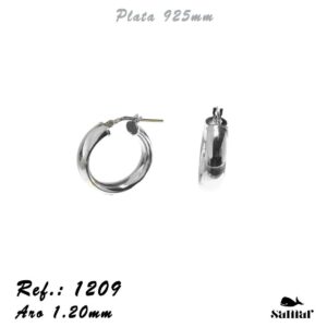 Pendiente Plata 1209