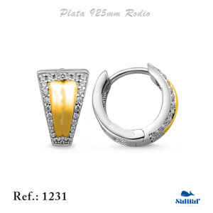 Pendiente Plata 1231