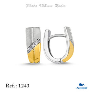 Pendiente Plata 1243